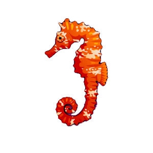 Short Headed Seahorse